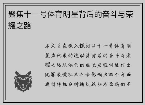 聚焦十一号体育明星背后的奋斗与荣耀之路